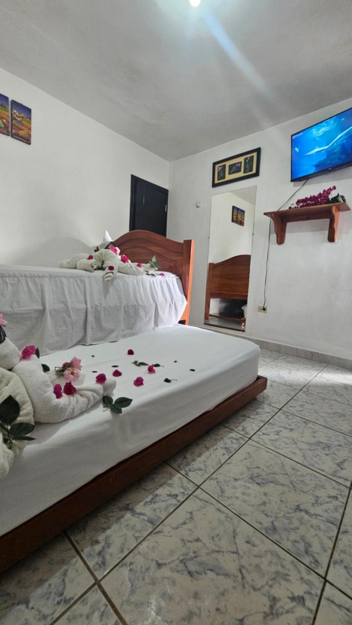 Flor'S House Διαμέρισμα San Cristóbal Εξωτερικό φωτογραφία